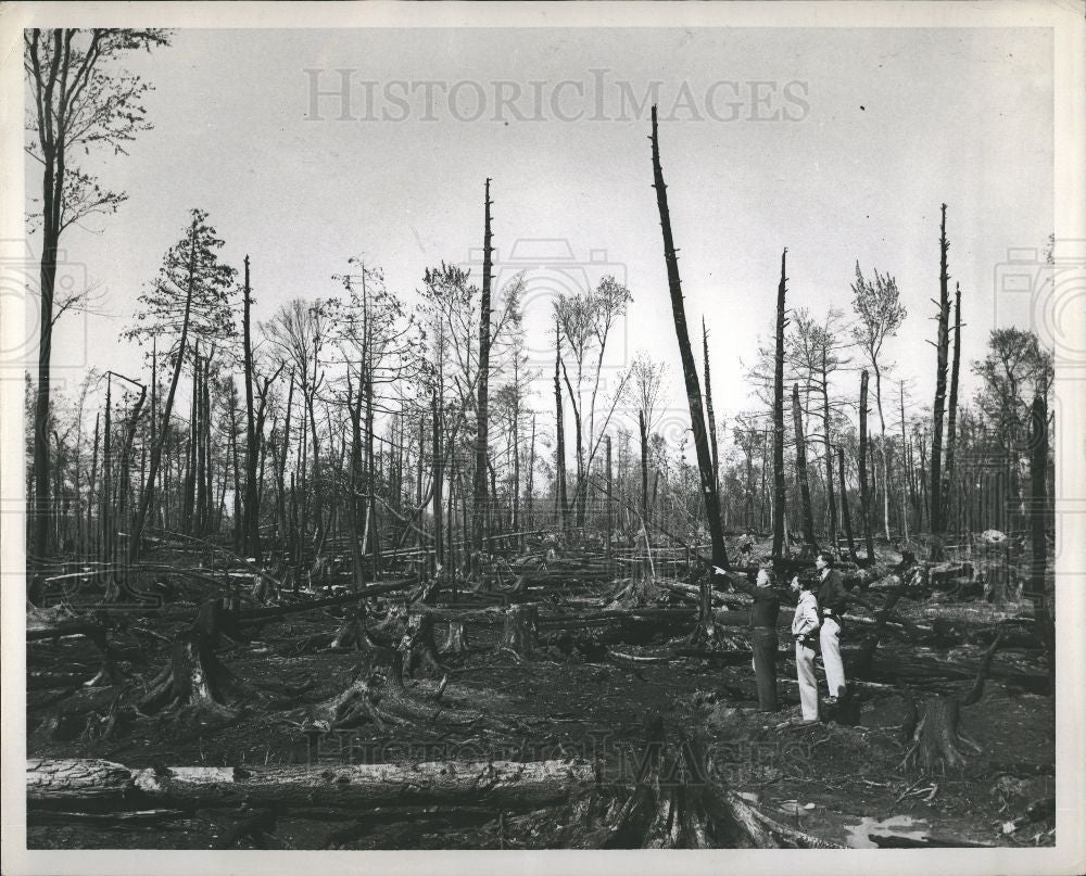 Press Photo Dale Davis - Historic Images