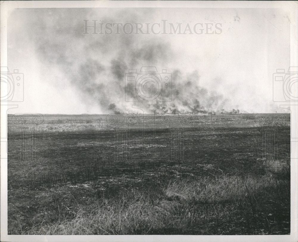 1952 Press Photo Grass Fires - Historic Images