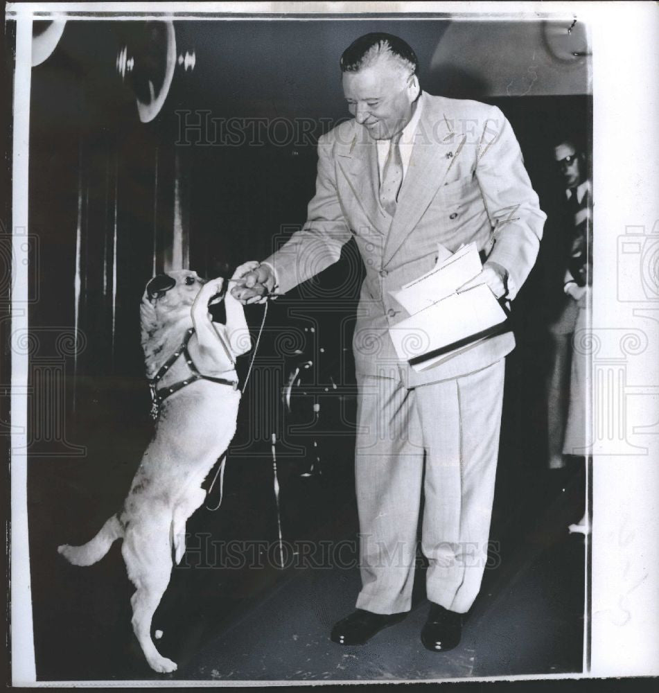 1956 Press Photo Dog, mailmen, biting - Historic Images