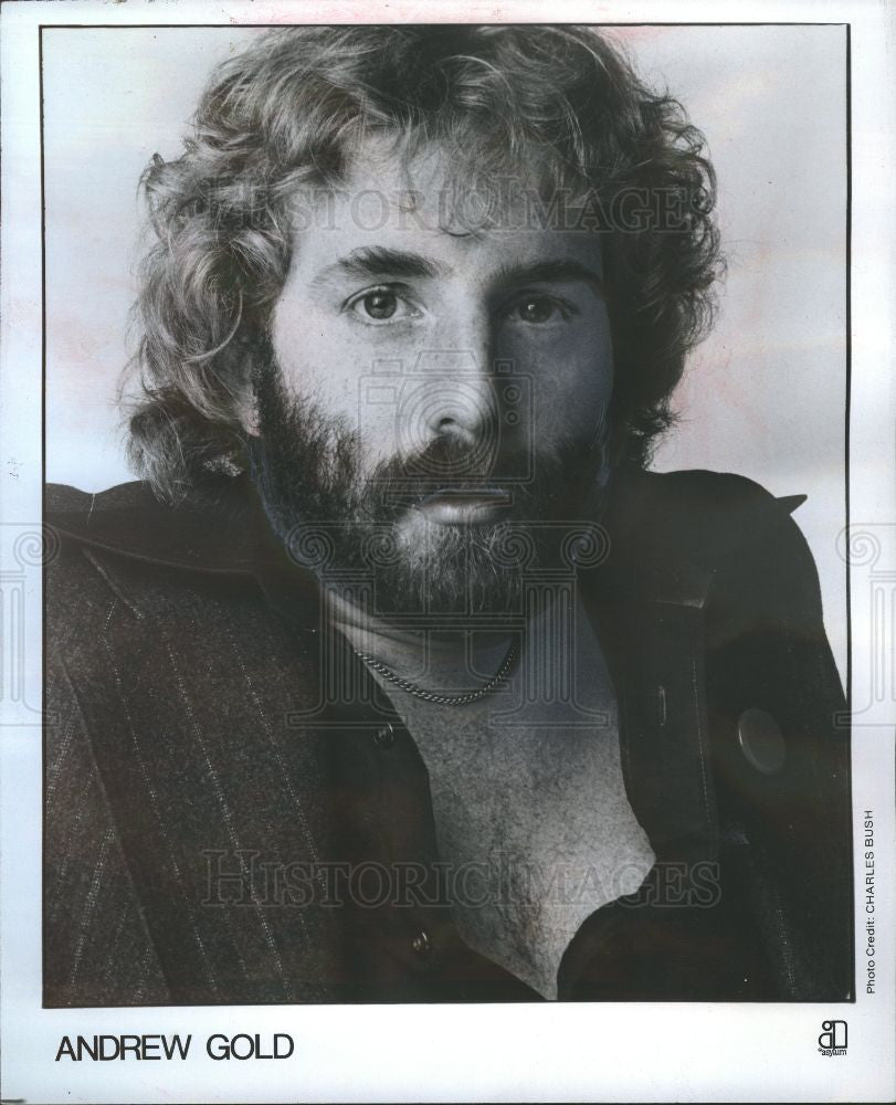 1978 Press Photo Andrew Gold, Asylum, singer - Historic Images