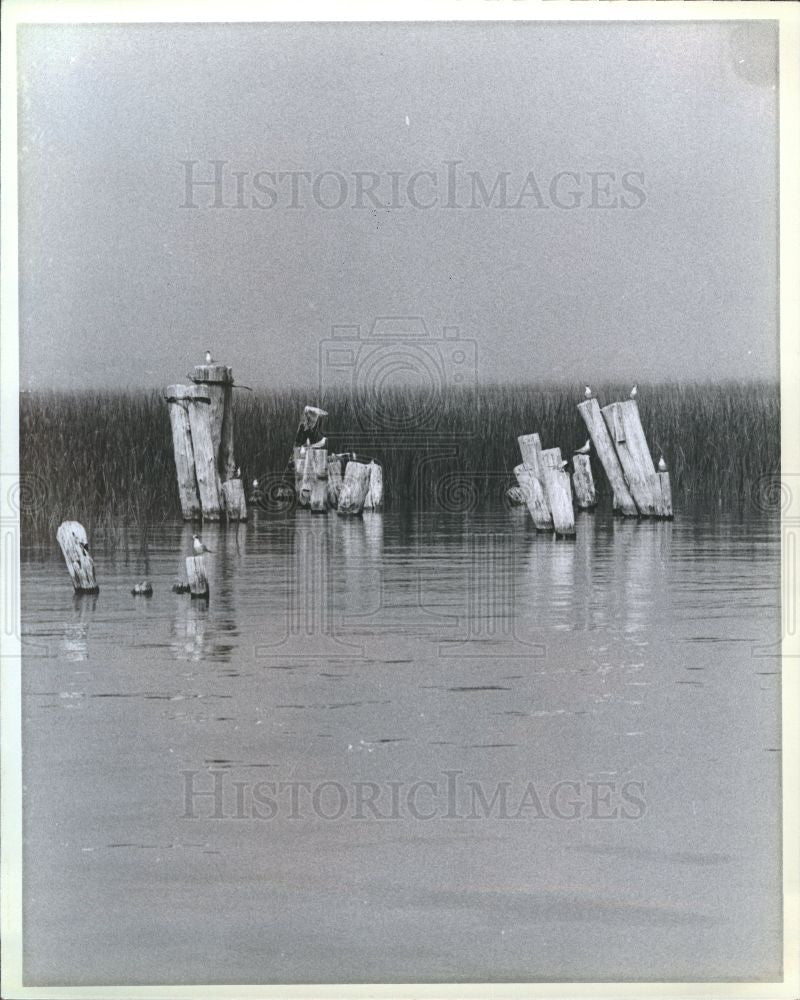 1978 Press Photo Erosion - Historic Images