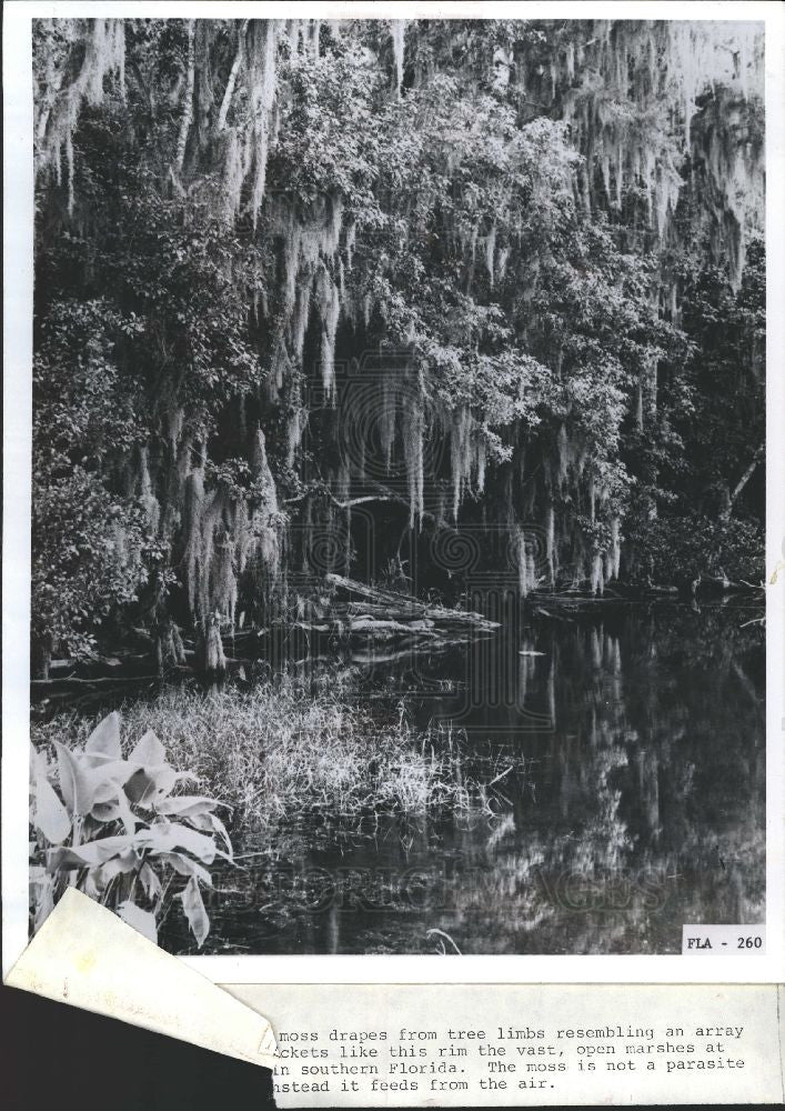 Press Photo NATIONAL PARK - Historic Images