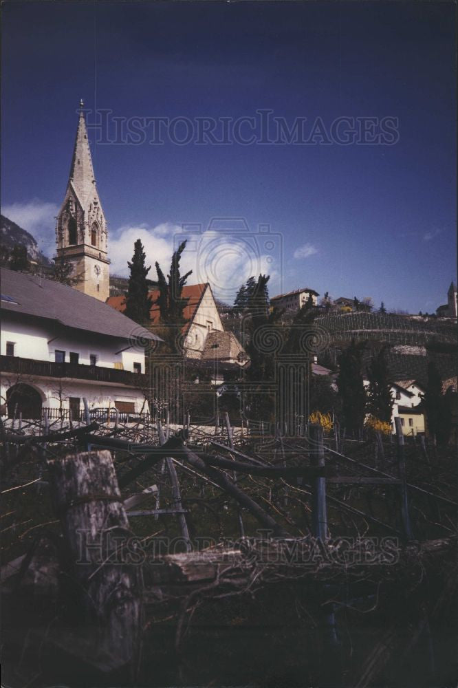 Press Photo Vines Spire Church Termeno Italy Wine - Historic Images