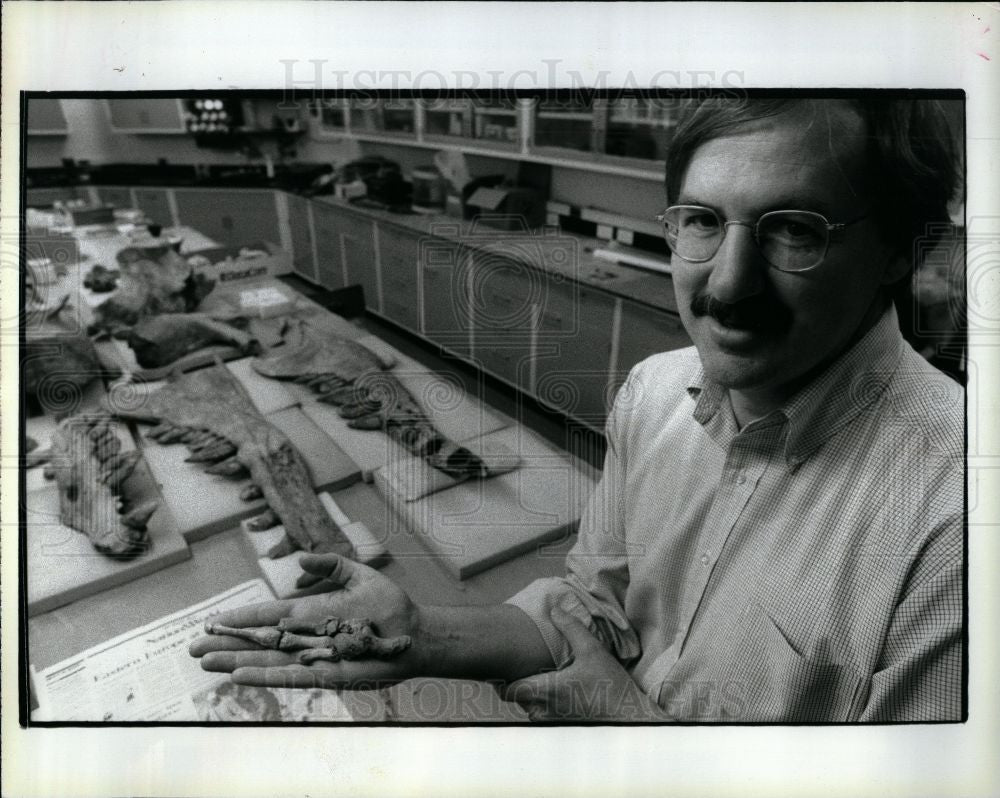 1990 Press Photo Philip Gingerich Whales Bones Legs - Historic Images