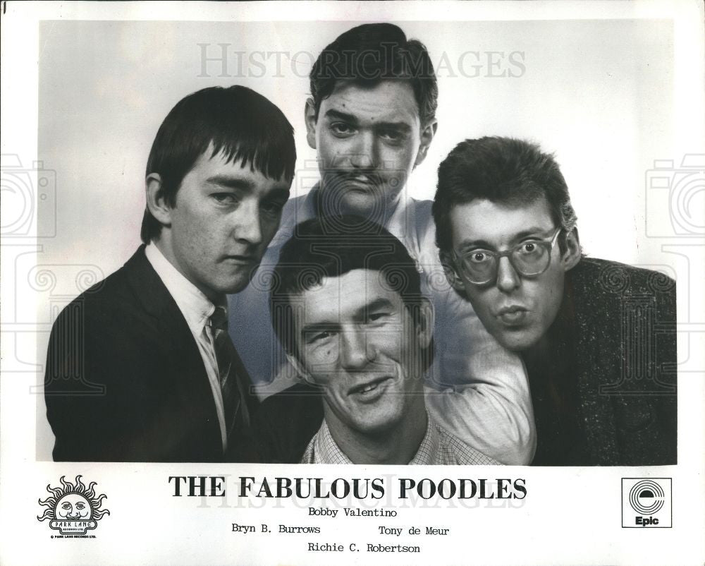 1979 Press Photo The Fabulous Poodles - Historic Images