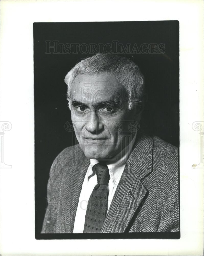 1985 Press Photo Paul Sporn, WPA project - Historic Images