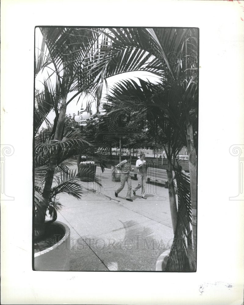 1980 Press Photo Palm Hart Plaza Bell Isle Greenhouse - Historic Images