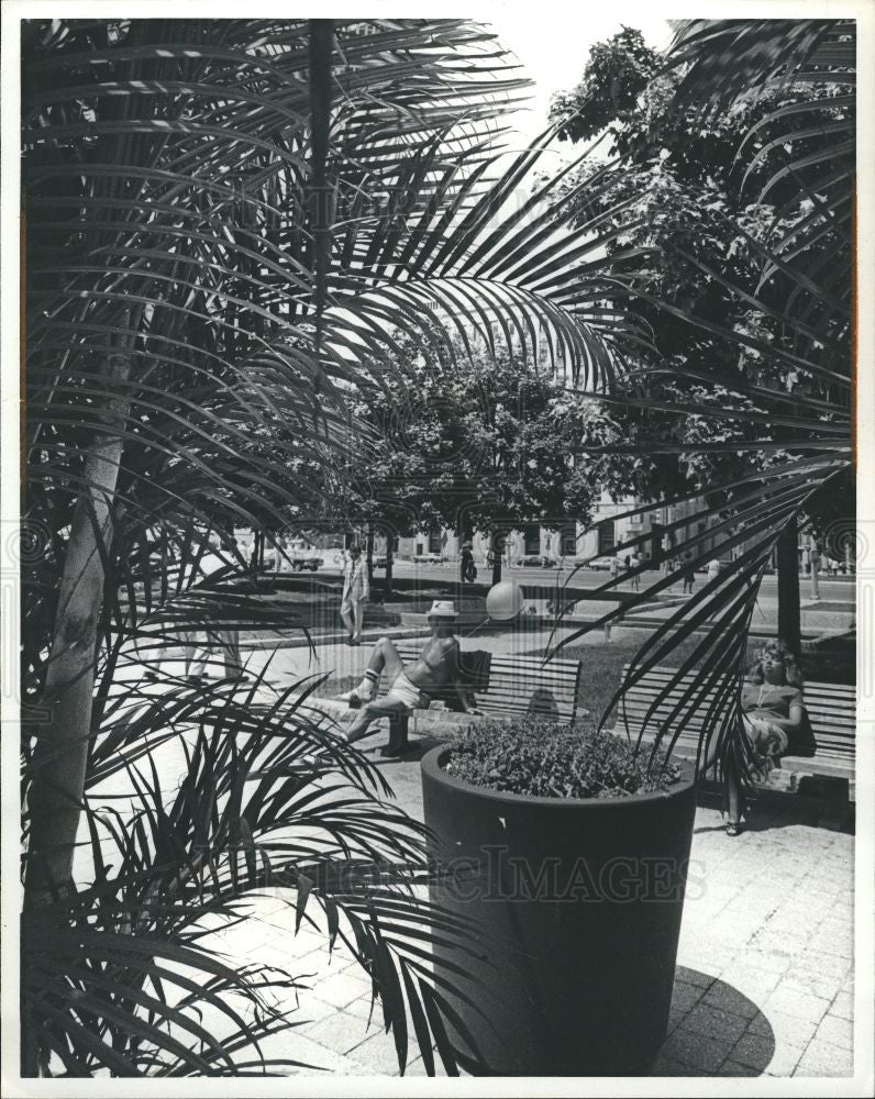 1981 Press Photo Hart Plaza potted palms GOP Detroit - Historic Images