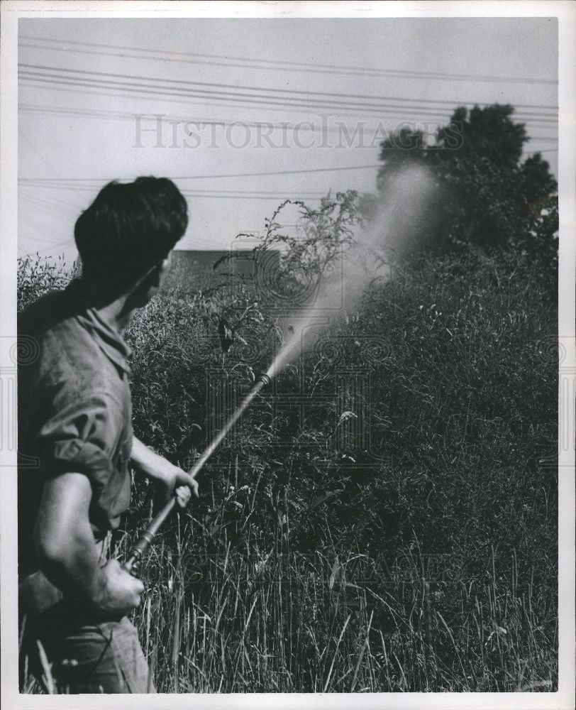 Press Photo water, man, crops, fields, hay fever - Historic Images
