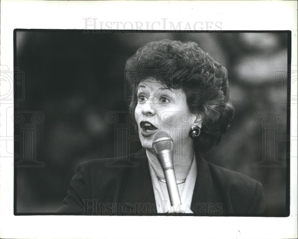 1993 Press Photo Debbie Stabenow  member of the Democra - Historic Images