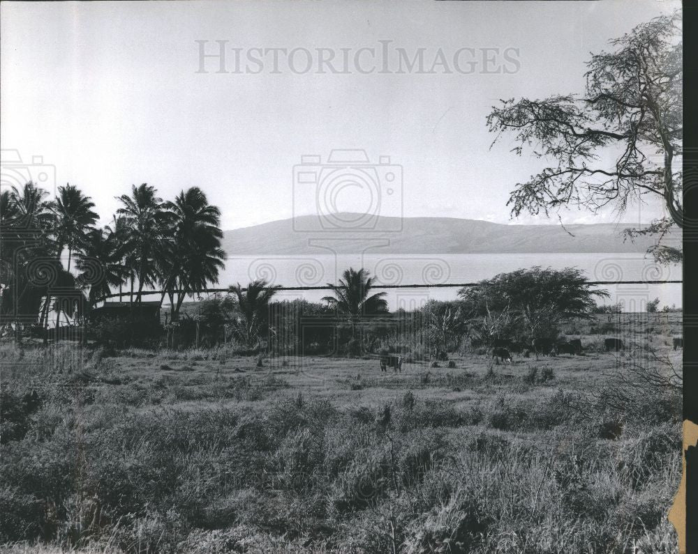 Press Photo Hawaii Island Ocean Vacation Nature - Historic Images