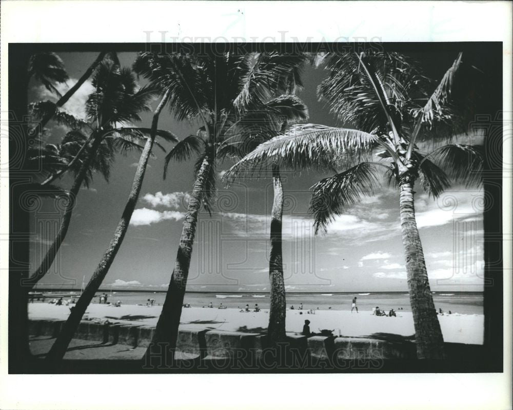 1992 Press Photo Hawaii - Historic Images