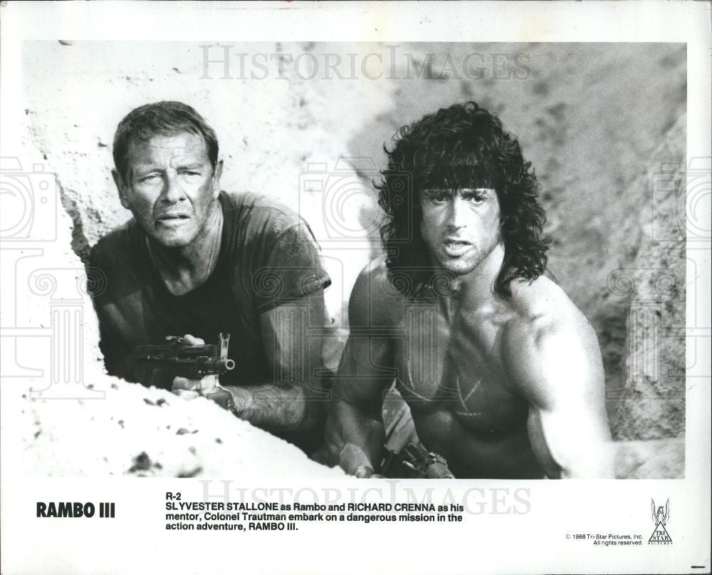 1993 Press Photo Sylvester Stallone  actor filmmaker - Historic Images