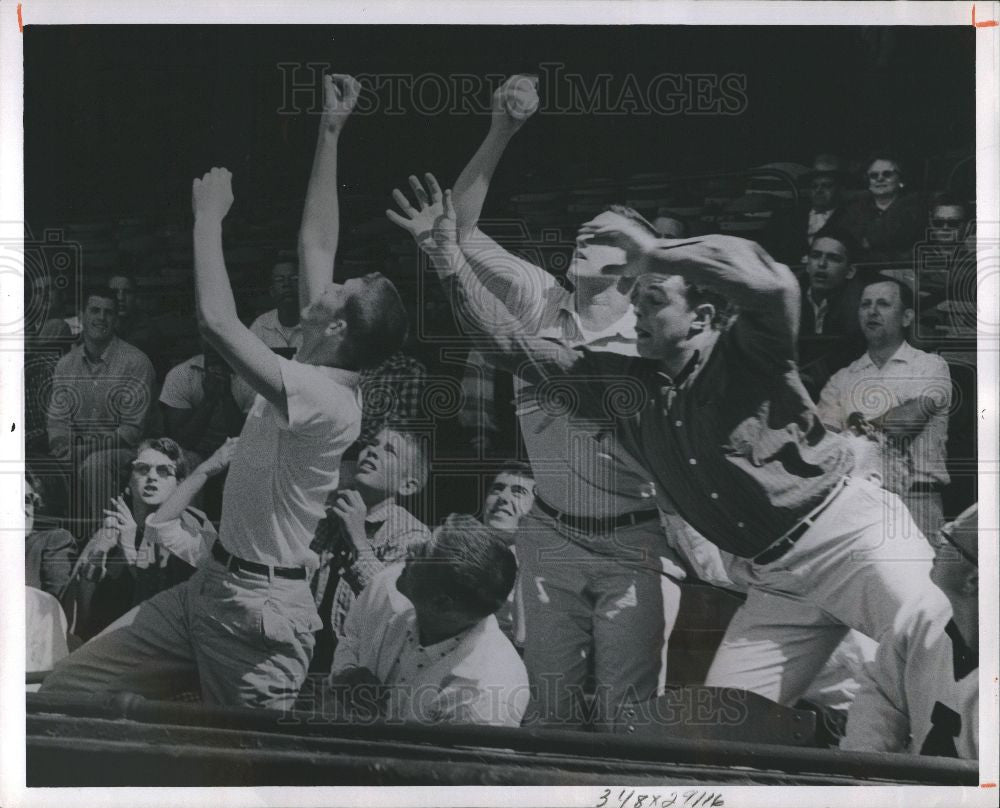 1961 Press Photo Foul Jip - Historic Images