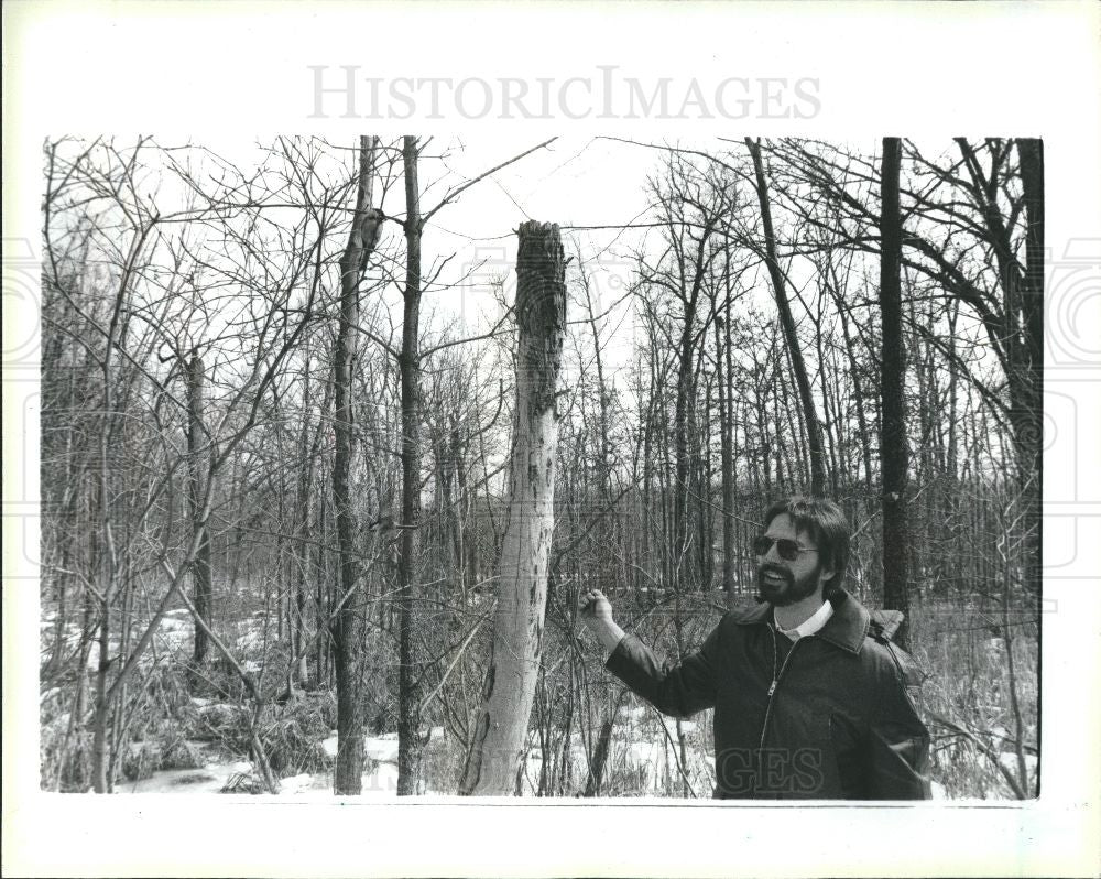 1986 Press Photo Regional park - Historic Images