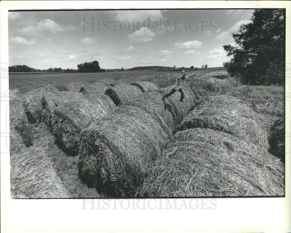 1986 Press Photo hay bales drought areas farmers aid - Historic Images