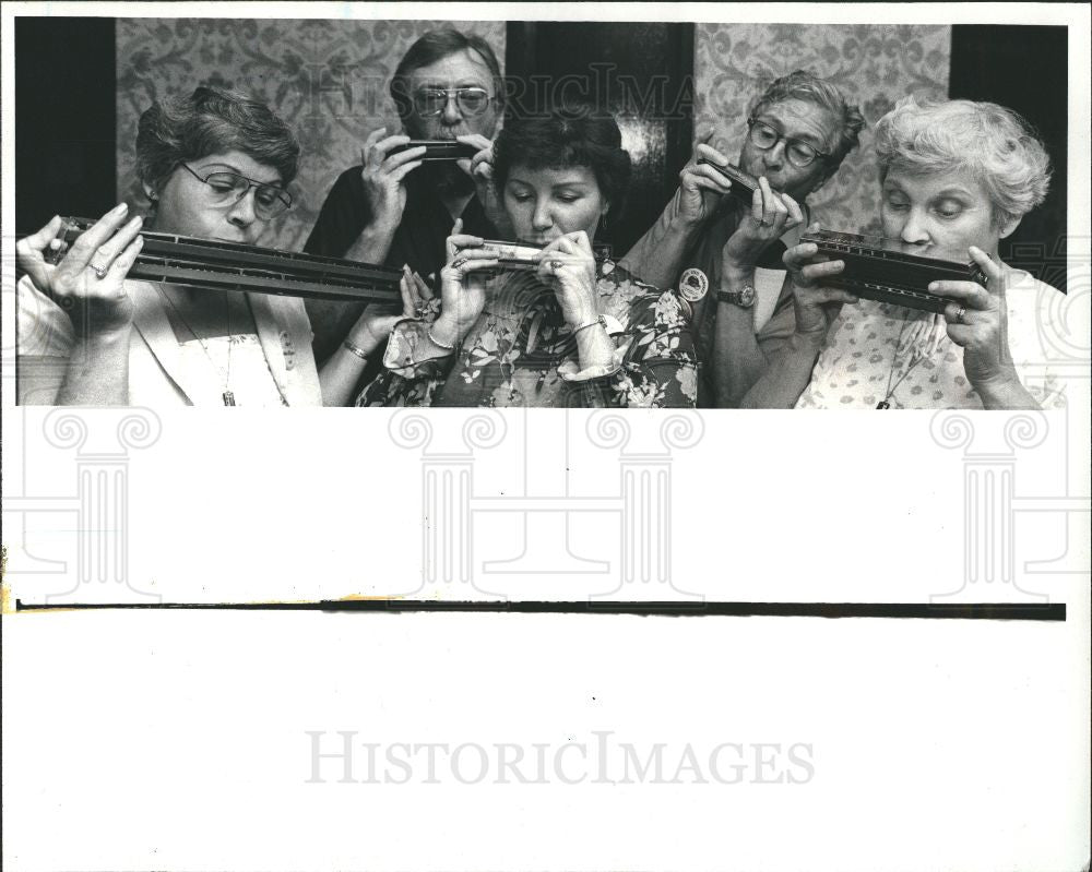 1982 Press Photo Music Harmonica SPAH - Historic Images