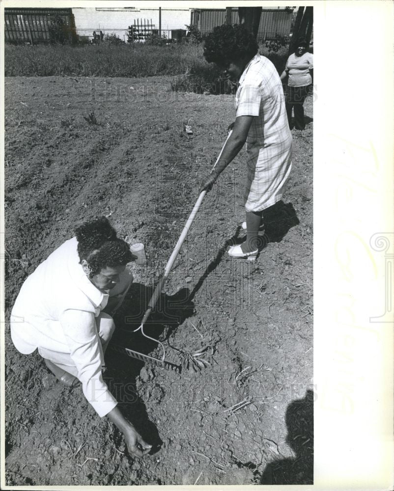 Press Photo Cornelia Brazill Frances Dickerson - Historic Images