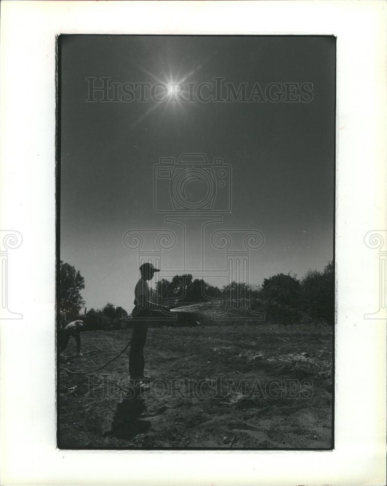 1984 Press Photo Summer Finally - Historic Images