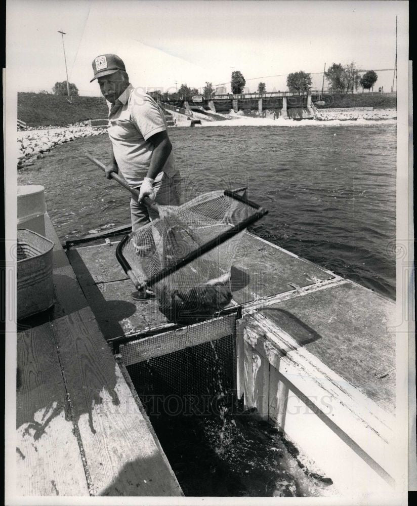 1989 Press Photo Hammond Bay Biological Station, eels - Historic Images