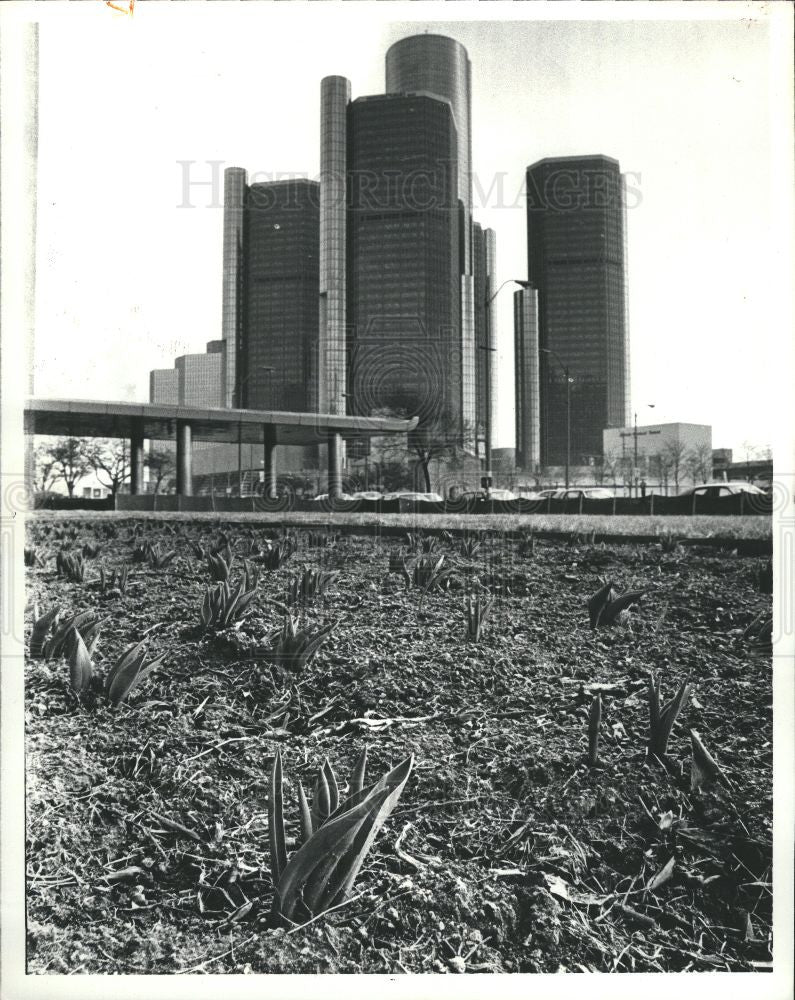 1981 Press Photo Tulips Jefferson City Council Building - Historic Images