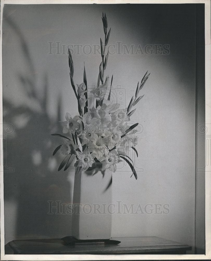 1946 Press Photo Flower Daffodils - Historic Images