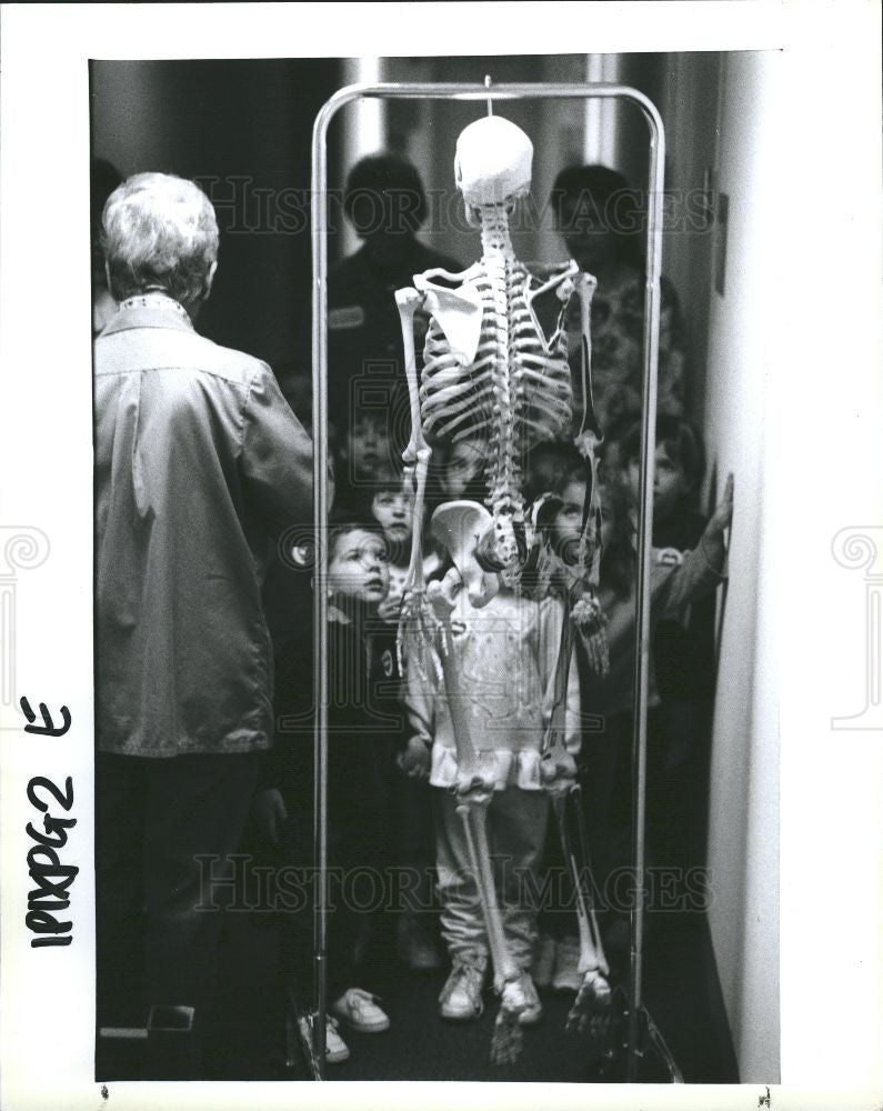 1993 Press Photo skeleton - Historic Images