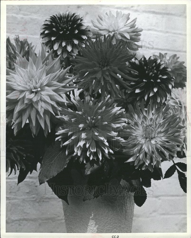 1980 Press Photo Flower - Historic Images