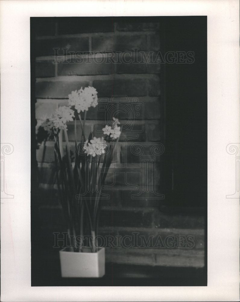 1989 Press Photo Flowers - Historic Images