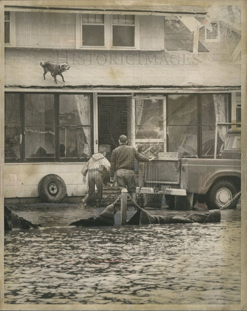 1966 Press Photo floods flooding 1966 dog store roof - Historic Images