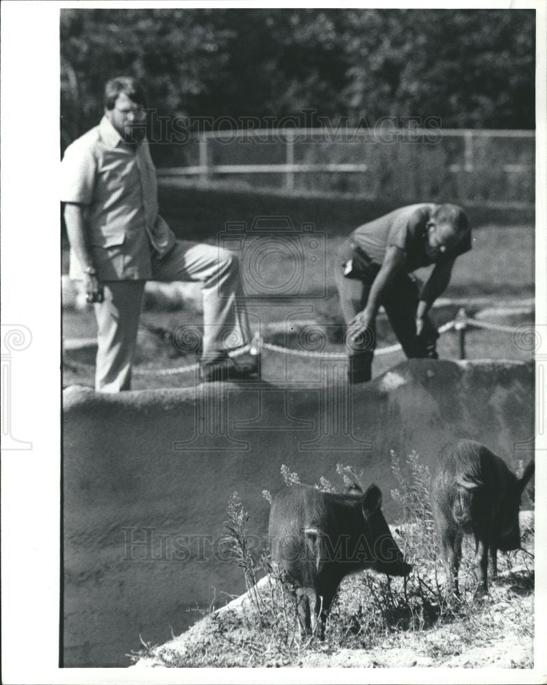 1982 Press Photo Steve Graham Det Detroit Zoo Director - Historic Images