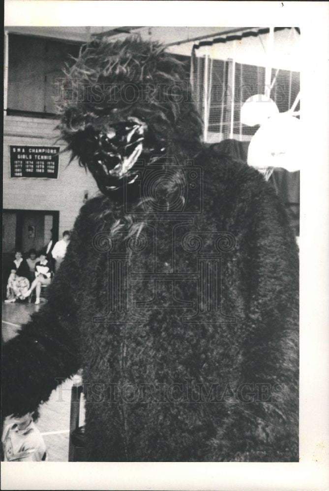 1987 Press Photo Gorilla grins Detroit Zoo Chief Steve - Historic Images