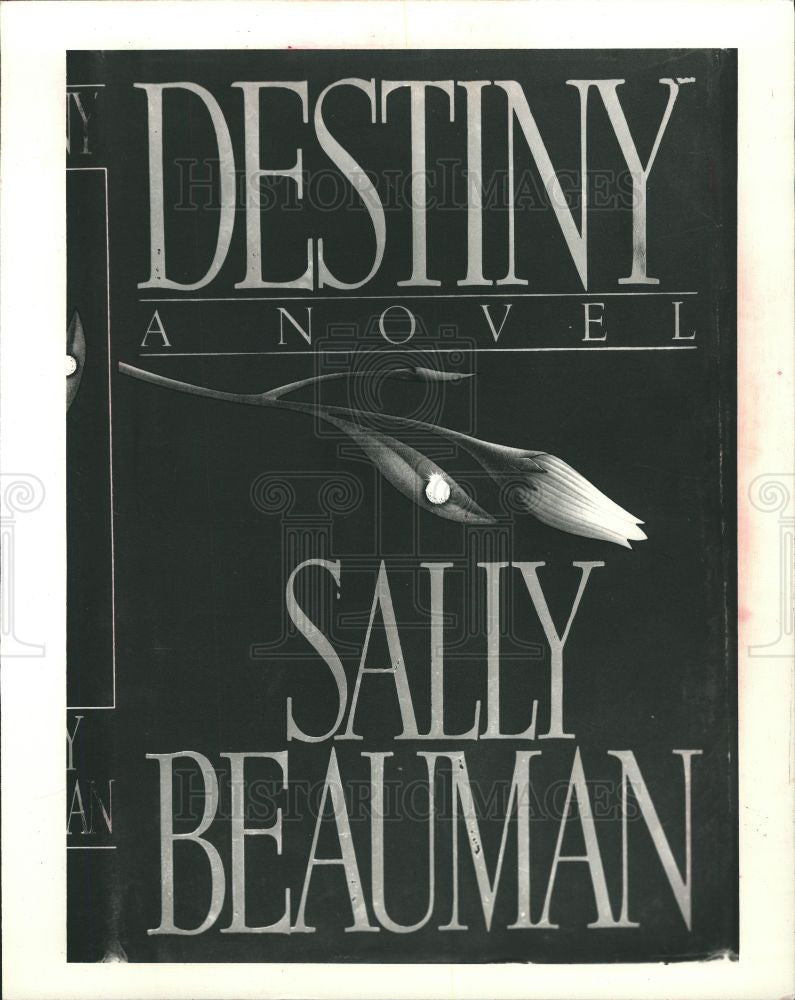 1987 Press Photo Sally Beauman Destiny A Novel - Historic Images