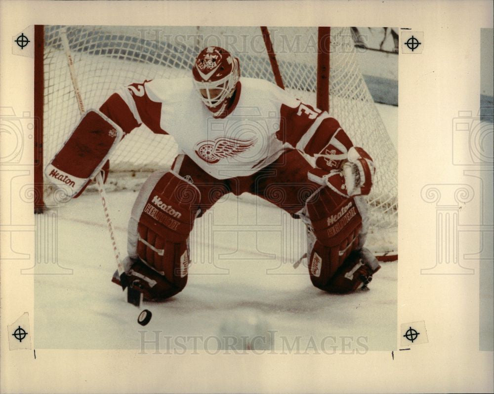 1990 Press Photo RED WINGS goallie TIM CHEVELDAE - Historic Images