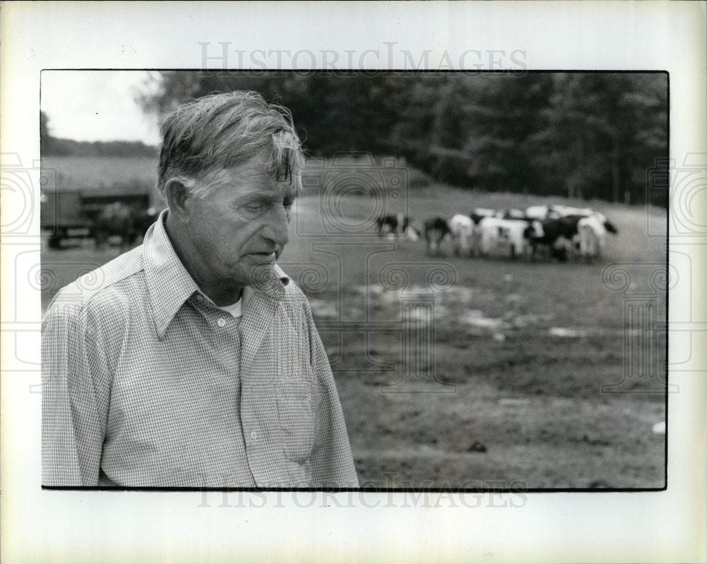 1985 Press Photo Farmer asks why as he loses 3d herd - Historic Images