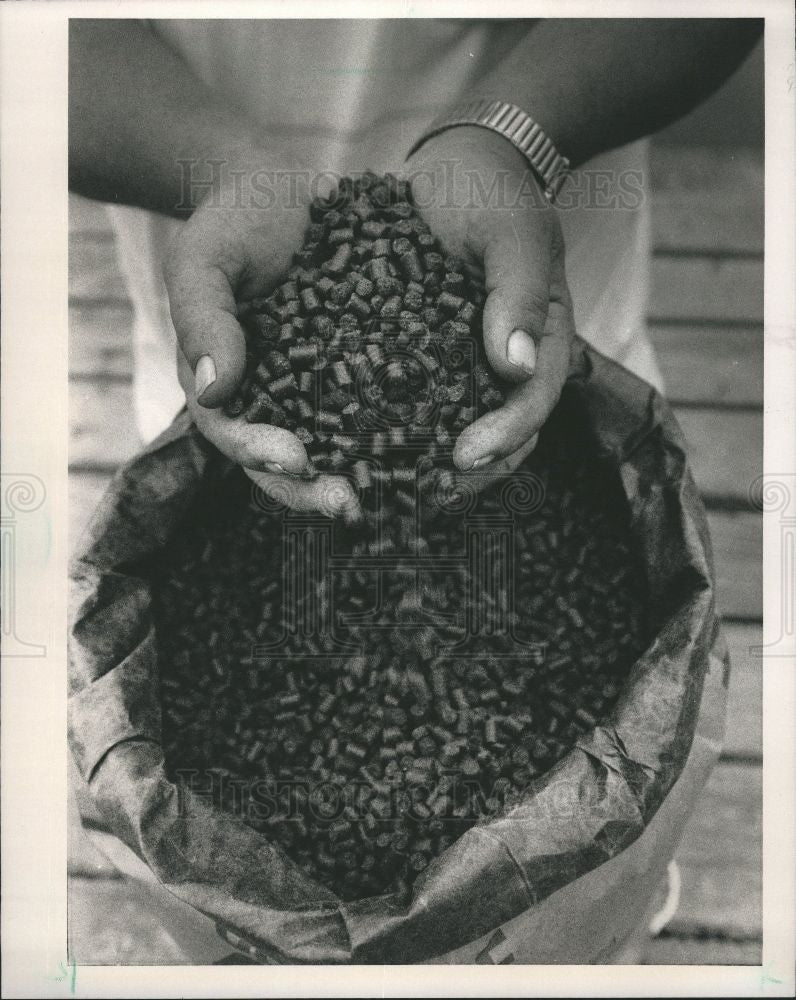 1989 Press Photo Fish feed green river trout Mancelona - Historic Images