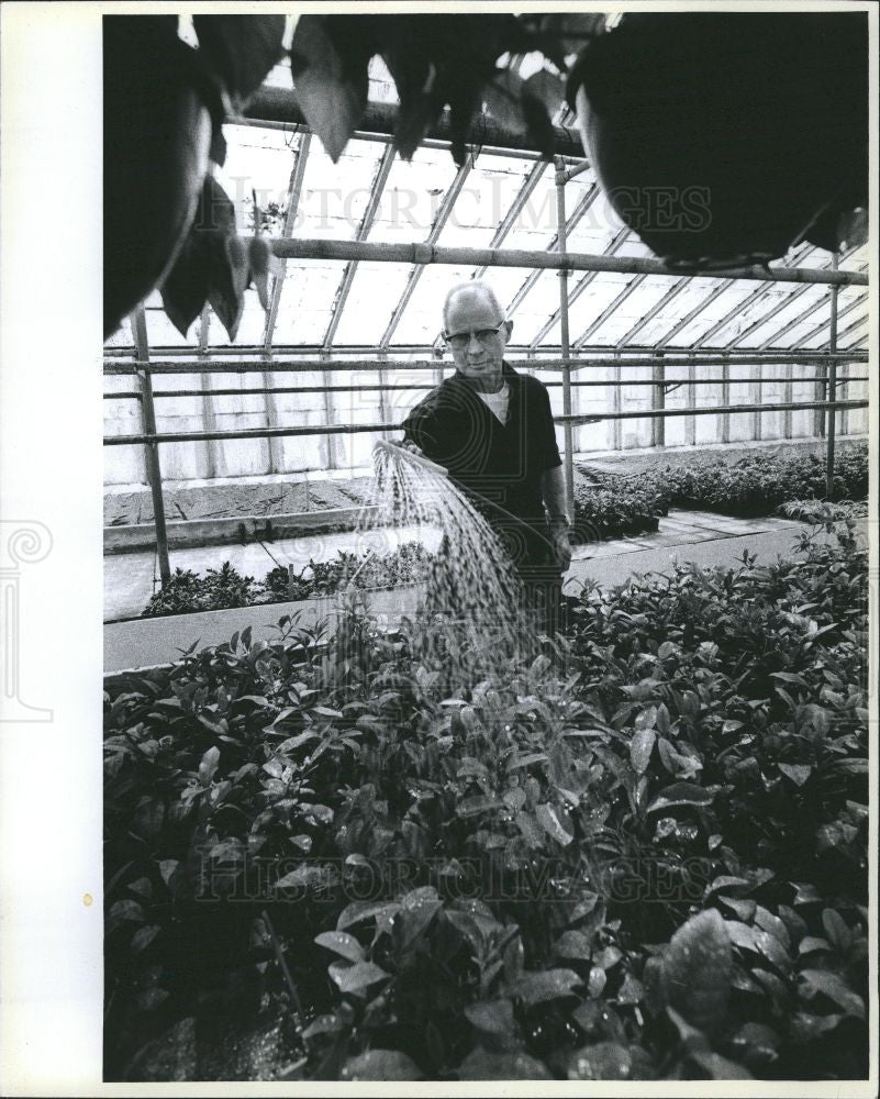 1978 Press Photo Greenhouse, Walt Anderson - Historic Images