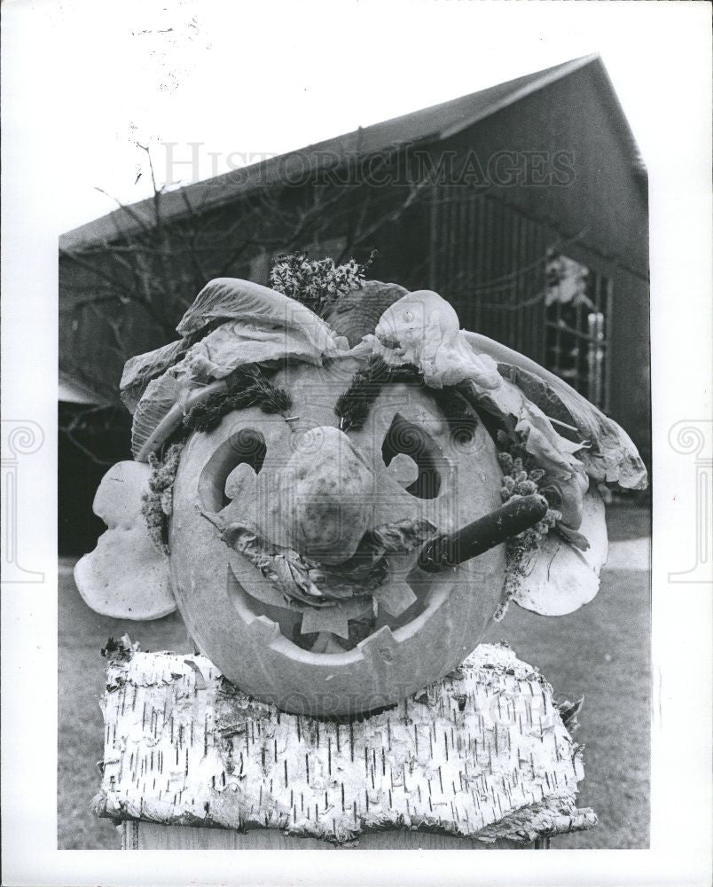1977 Press Photo Halloween Wernher Pumpkin - Historic Images