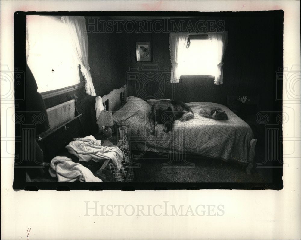 1988 Press Photo Pat Morgan mobile home - Historic Images