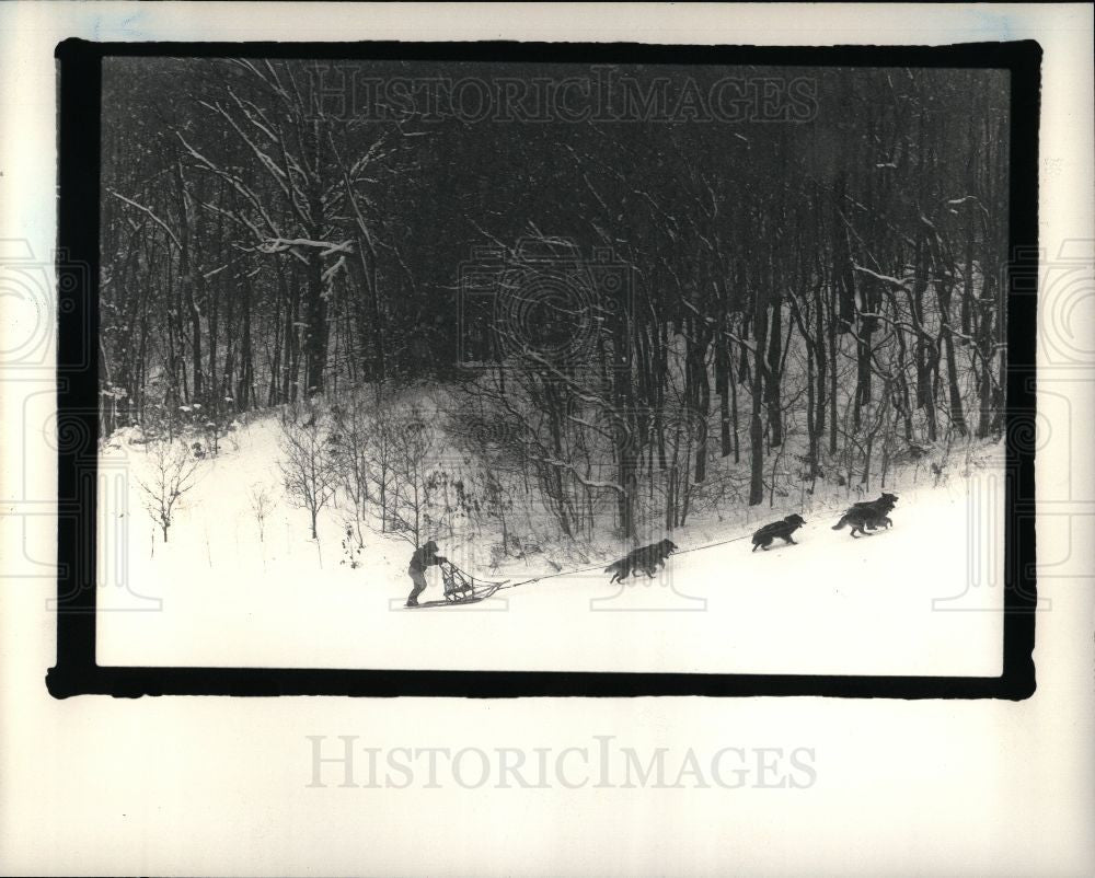 1988 Press Photo Pat Morgan Dog Sledder - Historic Images