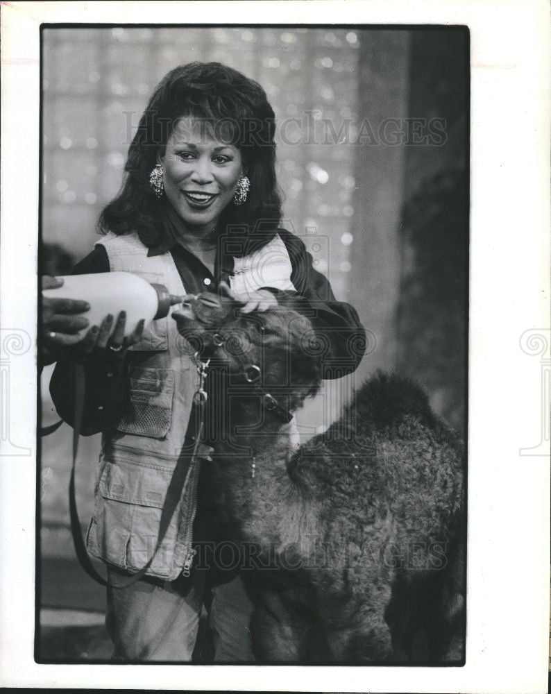 1991 Press Photo Evbanks baby dromedary camel - Historic Images