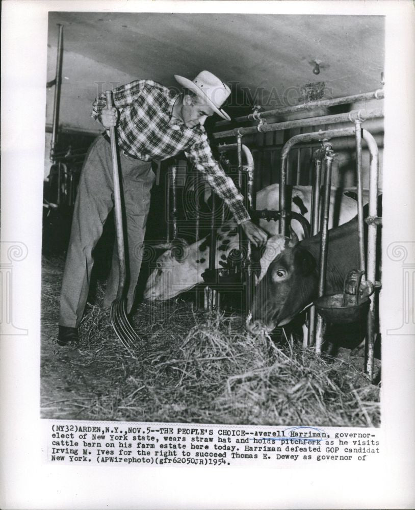 1954 Press Photo Averell Harriman farm cows pitchfork - Historic Images