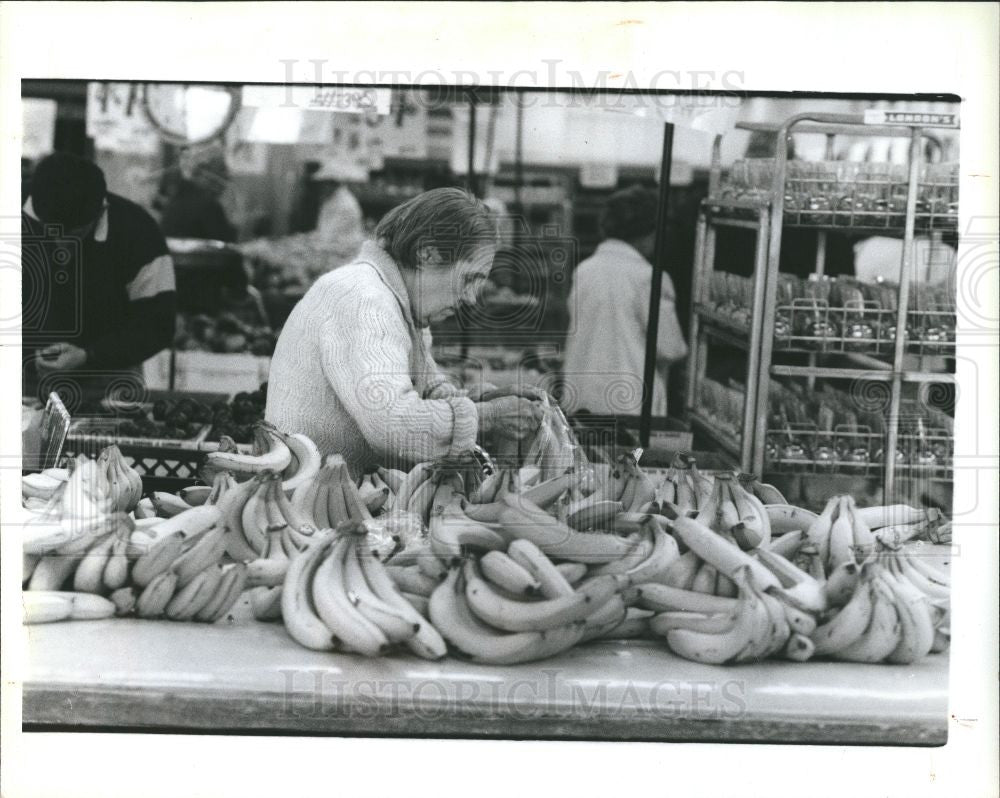 1991 Press Photo Katherine Reible, - Historic Images