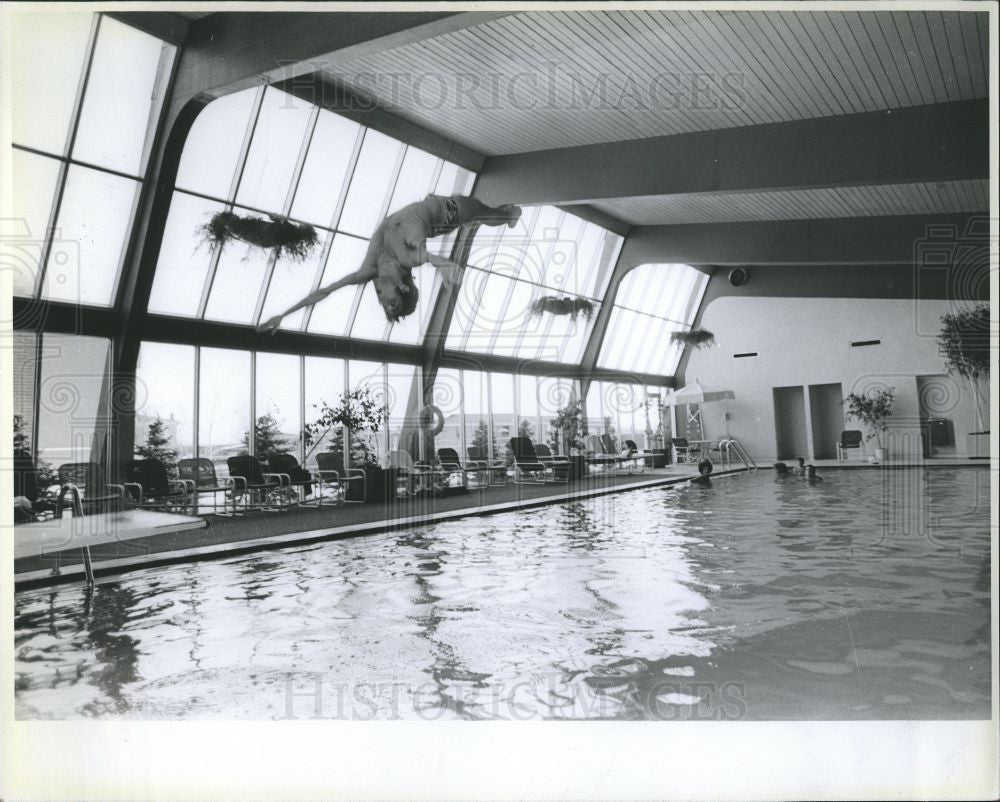 1980 Press Photo Hamilton Place pool - Historic Images