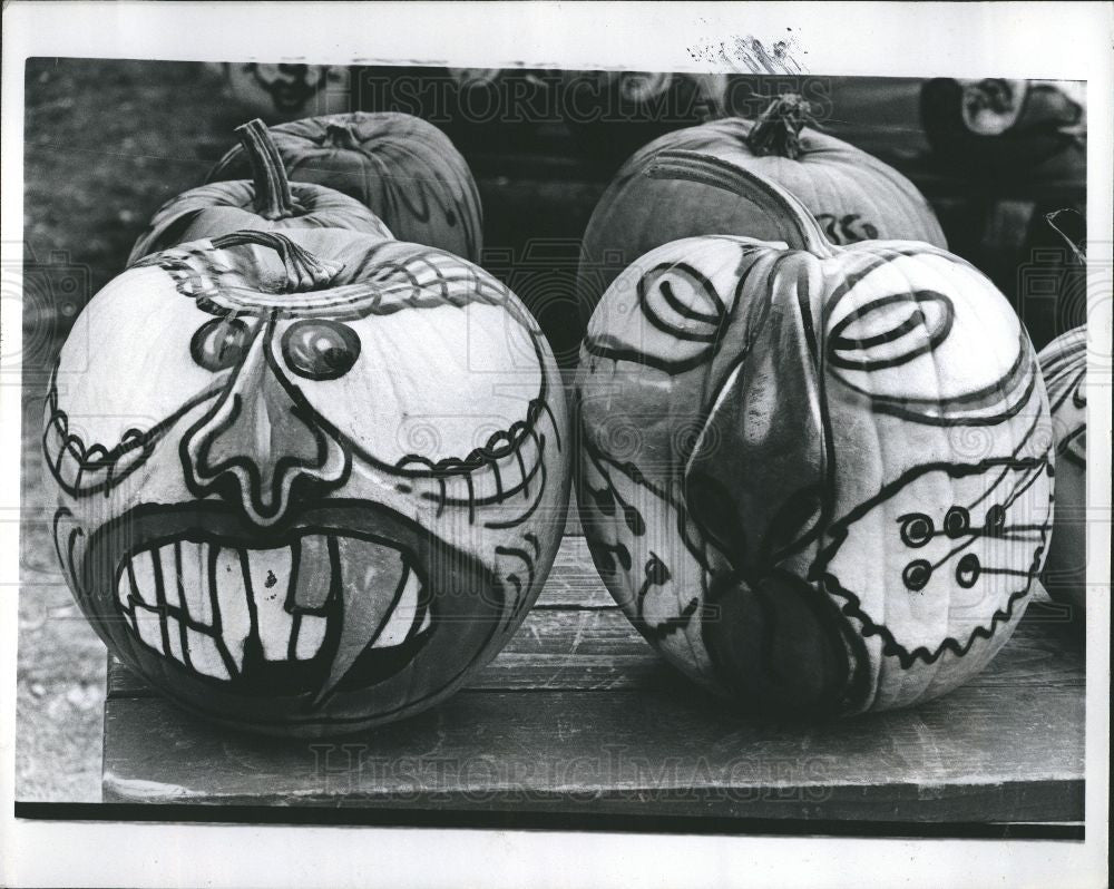 1977 Press Photo Halloween painted pumpkins - Historic Images