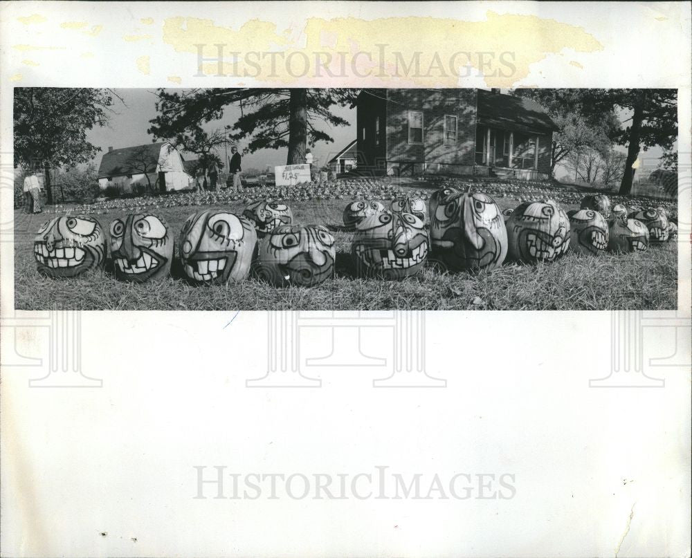 1974 Press Photo painted pumpkins $1.25 Plutter stand - Historic Images