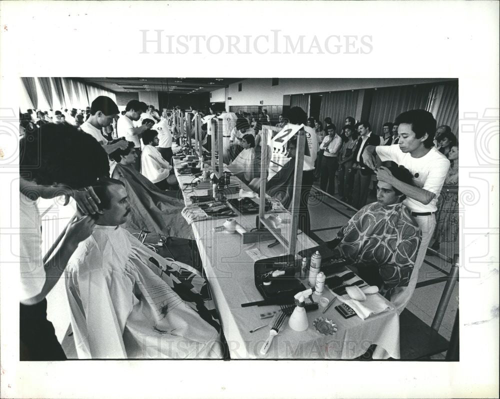 1981 Press Photo hair styling - Historic Images