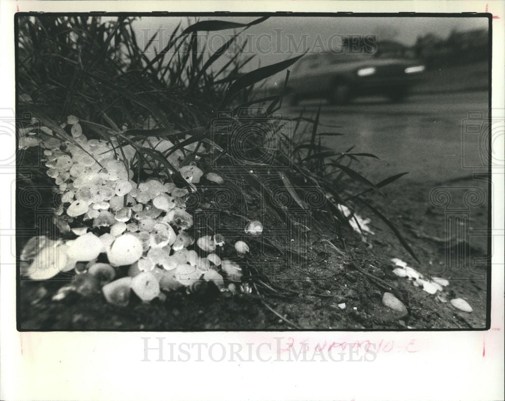 1991 Press Photo WEATHER  HAIL BY SIDE OF ROAD - Historic Images