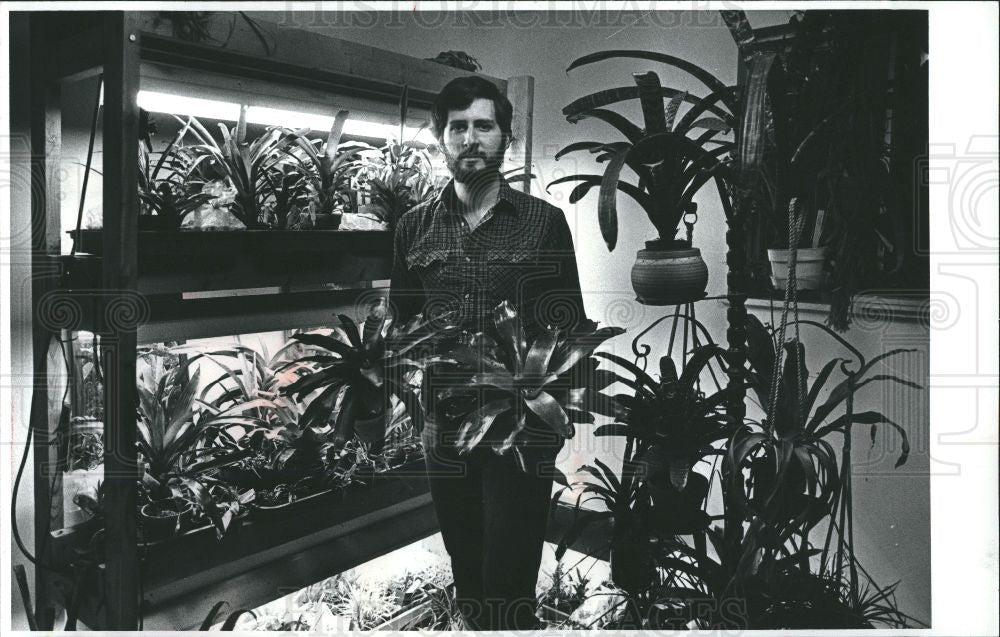1982 Press Photo PAUL WINGERT COLLECTION OF BROMELIADS - Historic Images