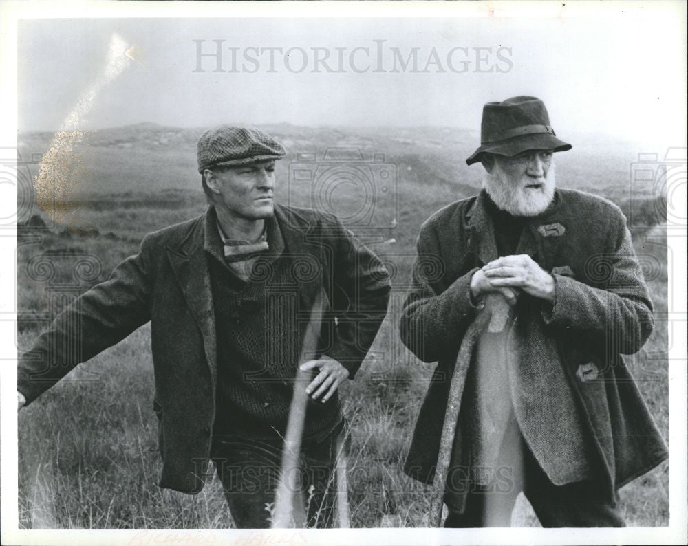 1991 Press Photo Richard Harris actor singer-songwriter - Historic Images